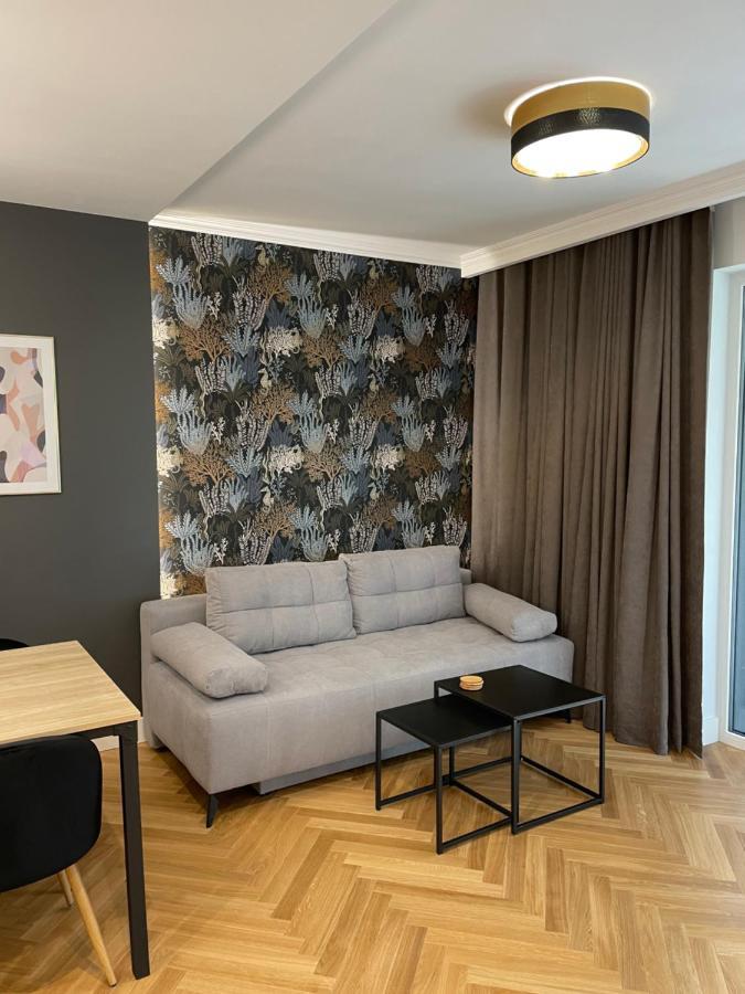 Apartamenty Bluszcz シフィノウイシチェ エクステリア 写真