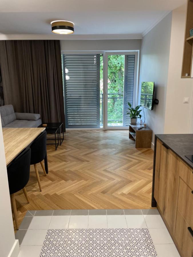 Apartamenty Bluszcz シフィノウイシチェ エクステリア 写真